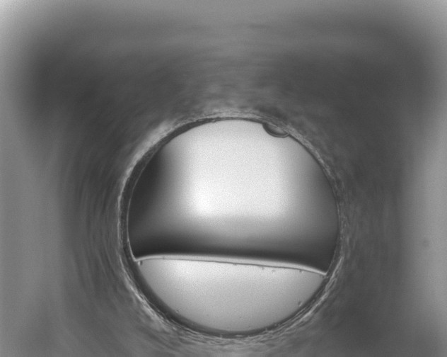 X0000059240008200510211615