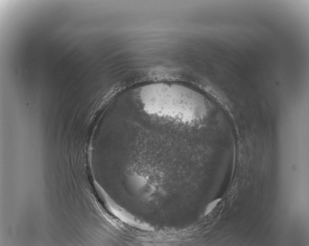 X0000059240009200510211615