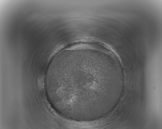 X0000059240010200510211615