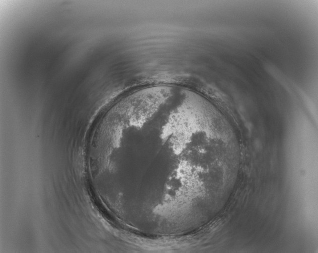 X0000059240012200510211615