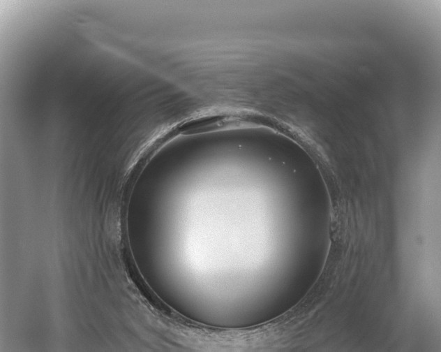 X0000059240015200510211614