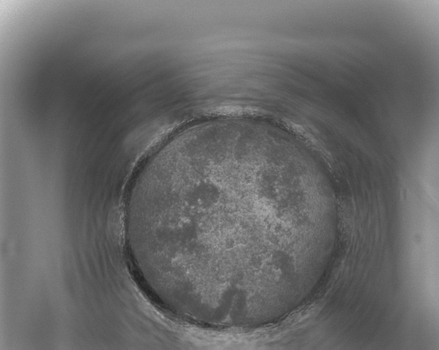 X0000059240016200510211614