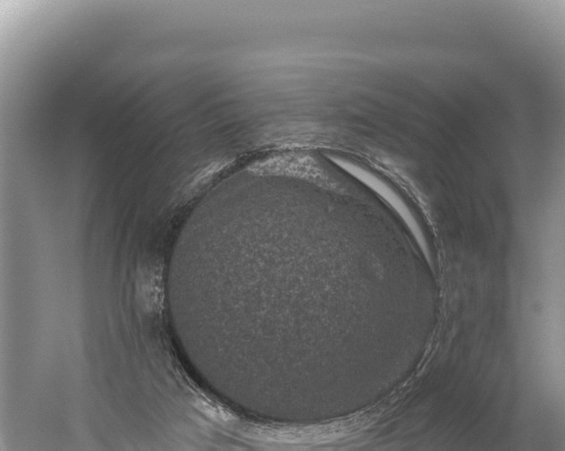 X0000059240017200510211614