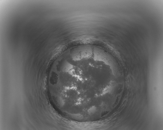 X0000059240018200510211614