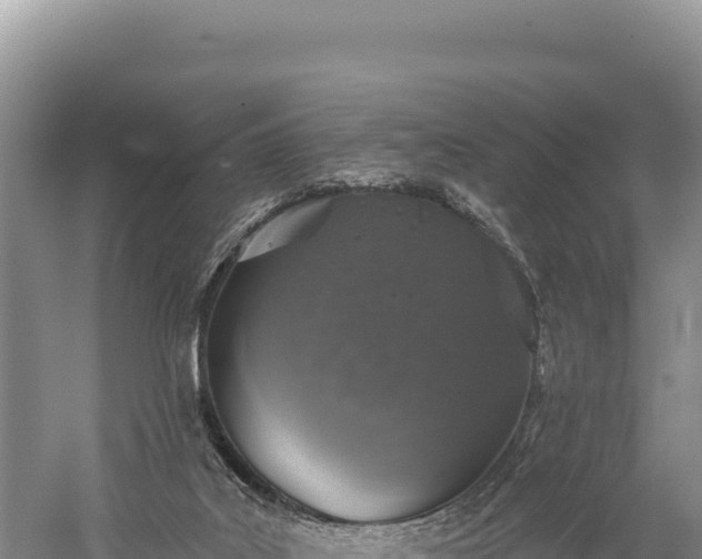 X0000059240019200510211614