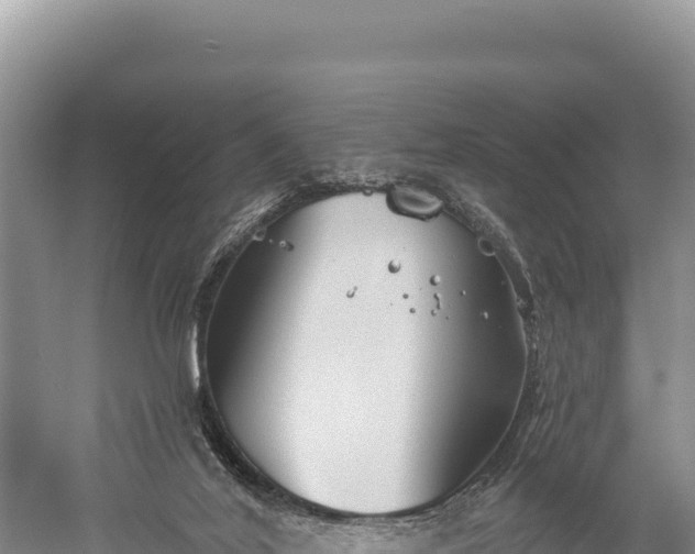 X0000059240020200510211614