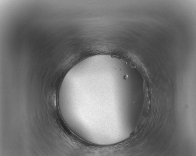 X0000059240021200510211614