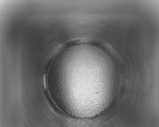 X0000059240022200510211614