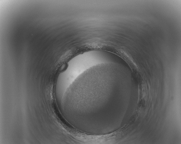 X0000059240023200510211614