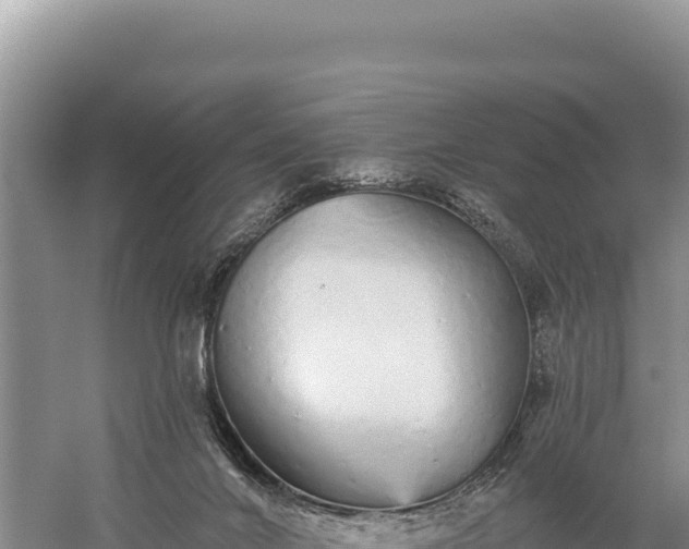 X0000059240024200510211614