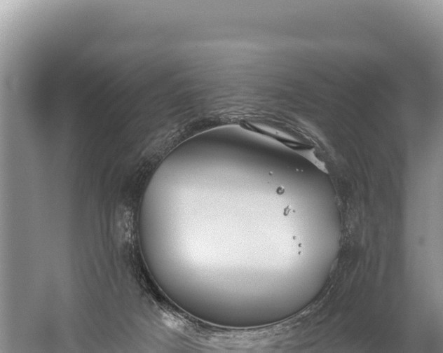 X0000059240025200510211614