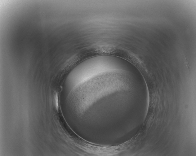 X0000059240027200510211614