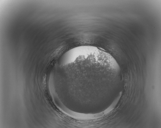 X0000059240029200510211614