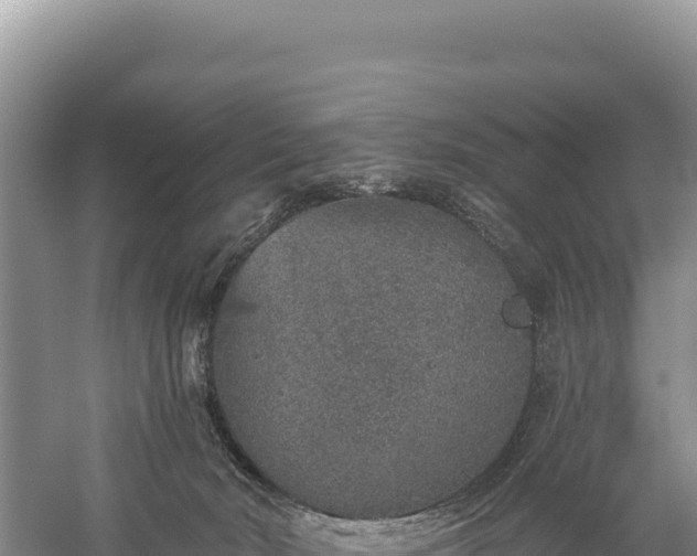 X0000059240030200510211614