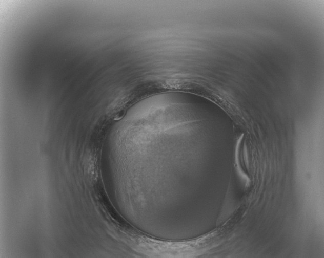 X0000059240031200510211614