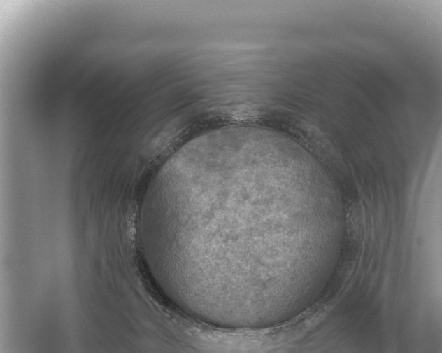 X0000059240032200510211614