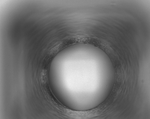 X0000059240034200510211614