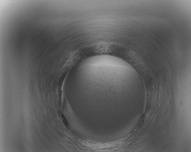 X0000059240035200510211614