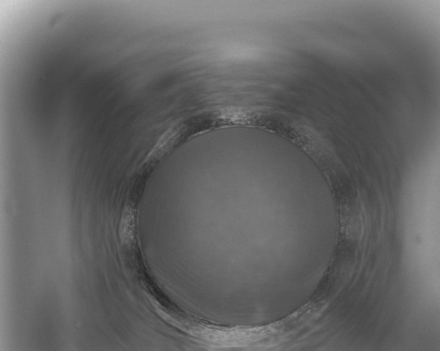 X0000059240036200510211614