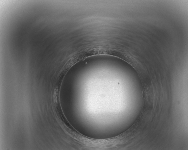 X0000059240038200510211614