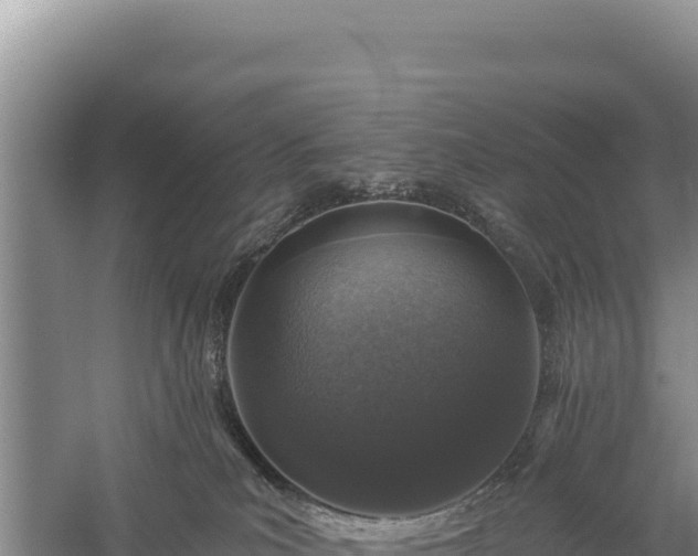 X0000059240039200510211614