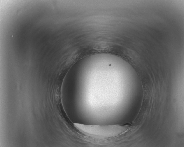 X0000059240040200510211614