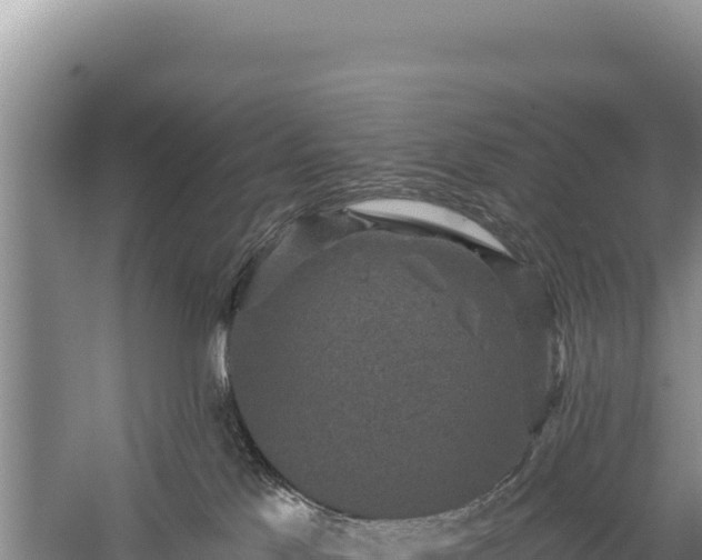 X0000059240041200510211614