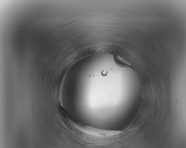 X0000059240044200510211614