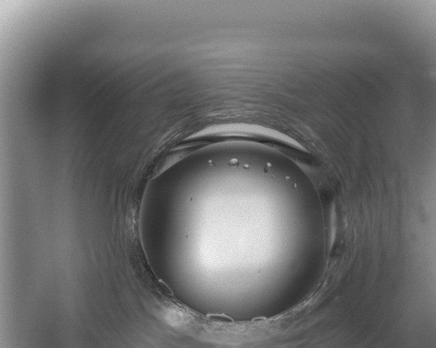 X0000059240045200510211614