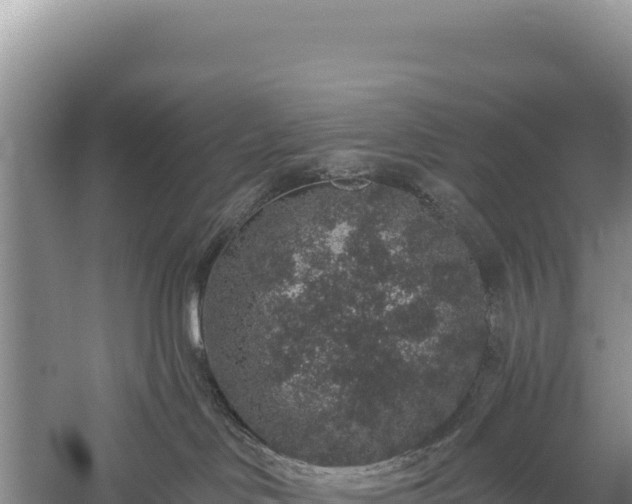 X0000059240046200510211614