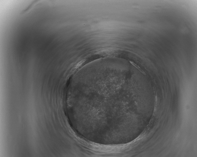 X0000059240048200510211614