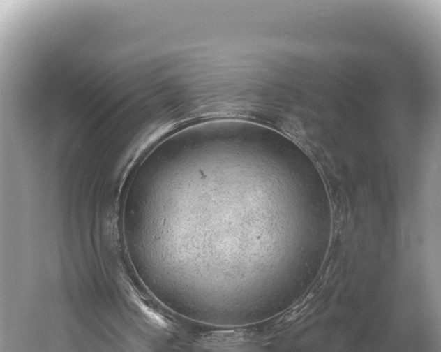 X0000059240050200510211613