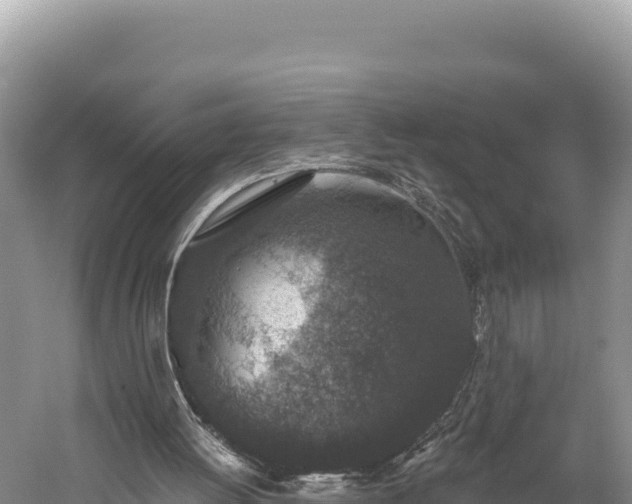 X0000059240052200510211613