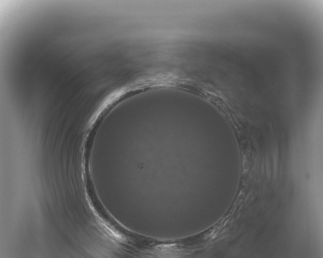 X0000059240054200510211613