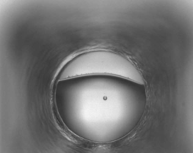 X0000059240056200510211613