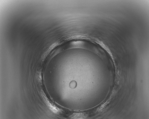 X0000059240057200510211613