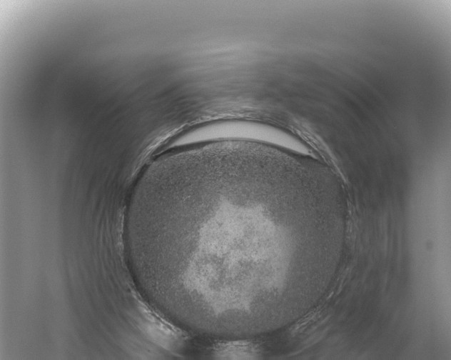 X0000059240058200510211613