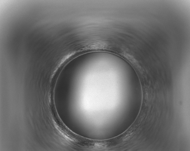 X0000059240060200510211613