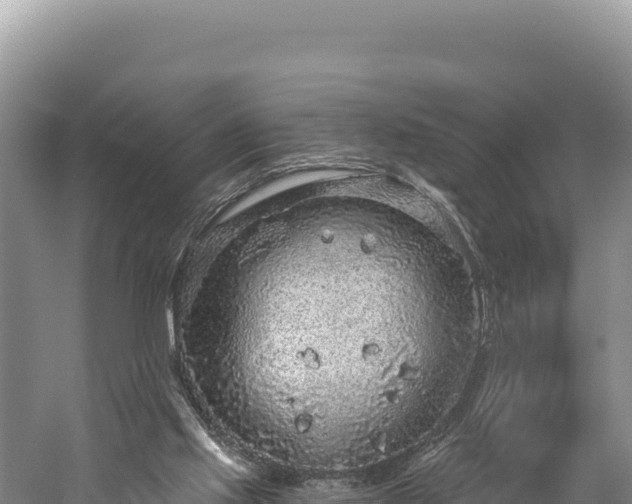 X0000059240061200510211613