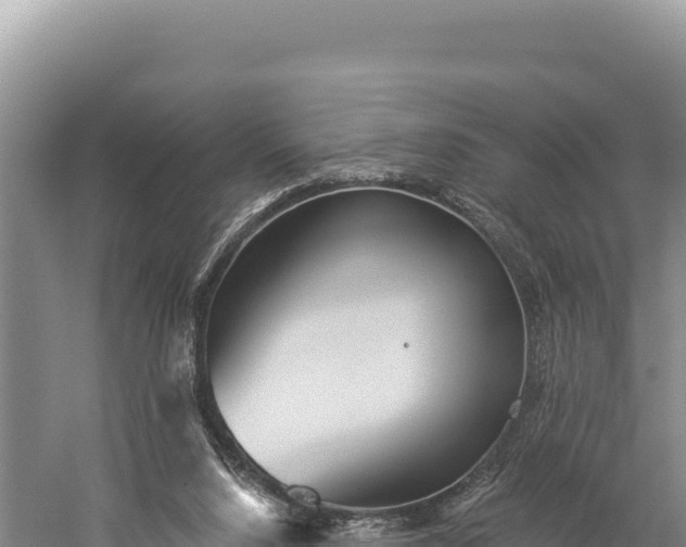 X0000059240064200510211613