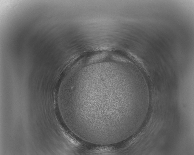 X0000059240065200510211613