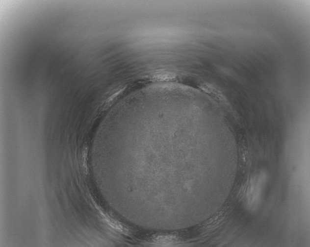 X0000059240066200510211613