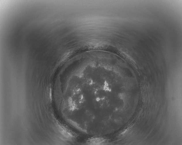 X0000059240067200510211613