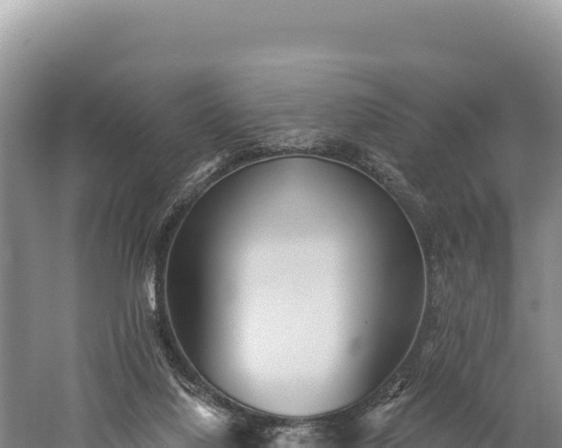 X0000059240068200510211613