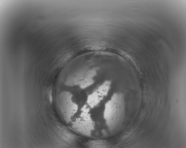 X0000059240069200510211613