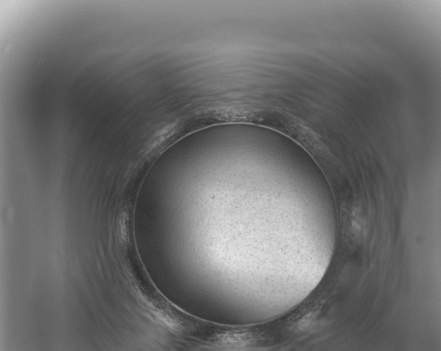 X0000059240071200510211613