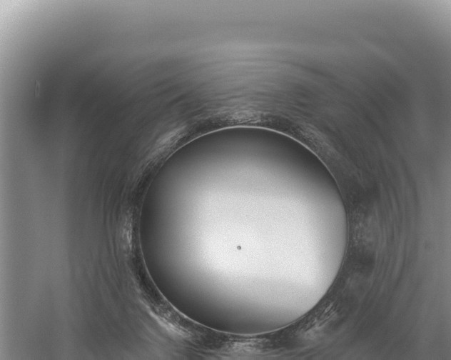 X0000059240072200510211613