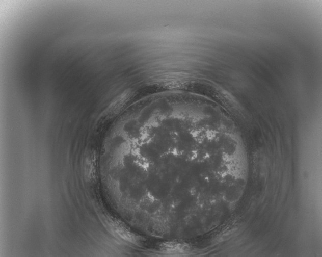 X0000059240073200510211613