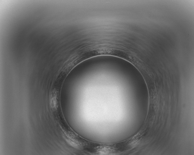 X0000059240074200510211614