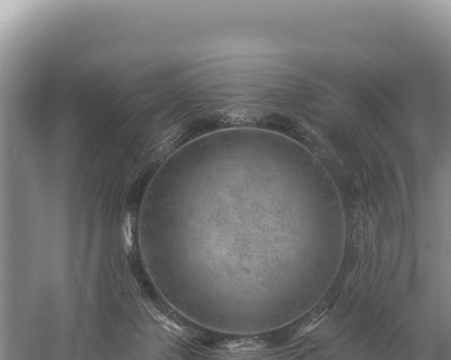 X0000059240075200510211614